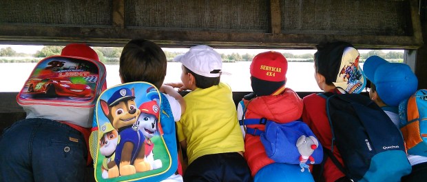 visitas a 'Los Charcones', observatorios