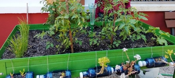 vdaimiel296475720180719124213