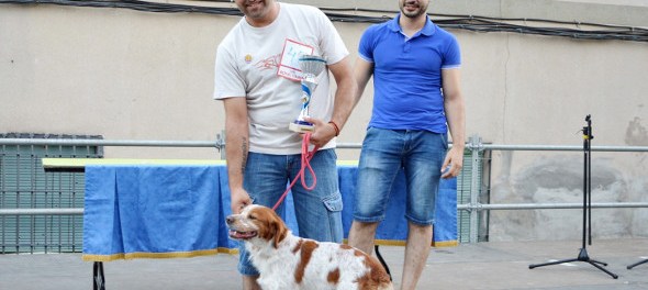 vdaimiel296645020180815122734