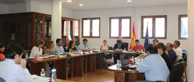 pleno_10_septiembre_4