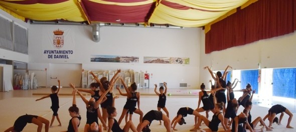 vdaimiel299047120190809133446