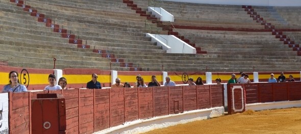 vdaimiel299213120190902112917