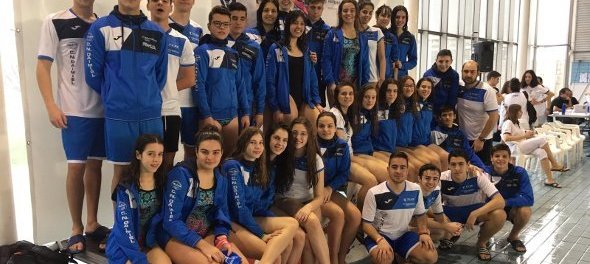 vdaimiel300244820200211123014