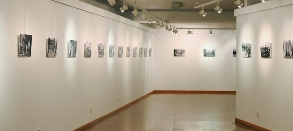 vdaimiel300296320200219130446