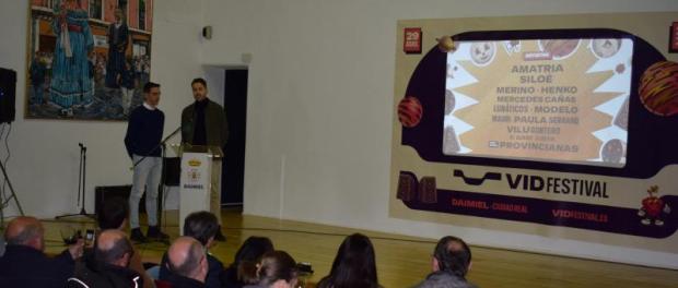 vid_festival_9