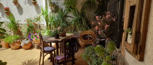 Imagen-de-WhatsApp-2023-05-16-a-las-12.48.46r3ey-1360x765