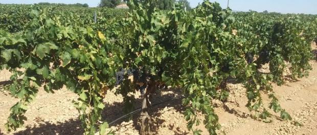 whatsapp_image_2023-08-16_at_12.16.26_0