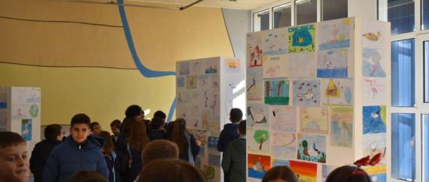 concurso_aves_1_reducida_0