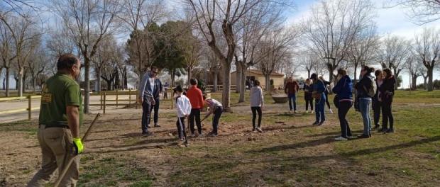 reforestacion_v.cruces